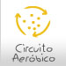 Aer&oacute;bico